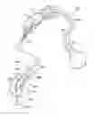 Fig. 01 - Transducer modules for auditory communication devices and auditory communication devices