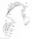 Fig. 07 - Transducer modules for auditory communication devices and auditory communication devices