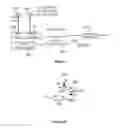 Fig. 07 - Downlink communication in the uplink FDD channel