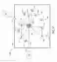 Fig. 07 - High efficiency laser-sustained plasma light source