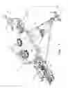Fig. 02 - Alternator control system for a planter