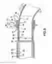 Fig. 09 - Vacuum hose coupling with quick lock feature