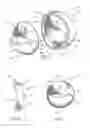 Fig. 03 - Birdfeeder and seed dispenser therefor
