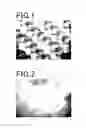 Fig. 02 - FABRIC FOR PREVENTING ADHESION OF AQUATIC ORGANISMS