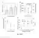 Fig. 06 - Devices and methods to improve and assess viability of human livers