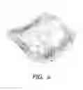 Fig. 15 - POPPED SNACK