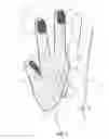 Fig. 02 - Three Finger Sanitary Glove