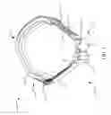 Fig. 02 - TACTICAL BELT