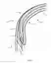 Fig. 04 - TACTICAL BELT