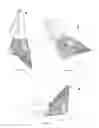 Fig. 07 - PORTABLE SUPPORT FOR SEATING AND ASSOCIATED METHOD OF USE