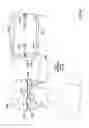 Fig. 29 - Methods and systems for detecting health conditions by imaging portions of the eye, including the fundus