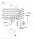 Fig. 46 - Methods and systems for detecting health conditions by imaging portions of the eye, including the fundus