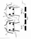 Fig. 10 - Monitoring pneumocardial function