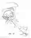 Fig. 24 - Methods for hyoid suspension