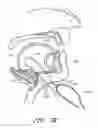 Fig. 26 - Methods for hyoid suspension