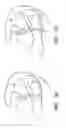 Fig. 31 - Methods for hyoid suspension