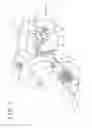 Fig. 03 - PUNCTURE MEMBER