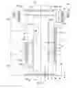 Fig. 02 - ABSORBENT ARTICLE WITH ELASTICIZED REGION