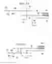 Fig. 07 - Absorbent article with elasticized waist region