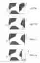 Fig. 06 - Personalized identification system for deceased bodies