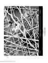 Fig. 05 - Enhanced co-formed meltblown fibrous web structure and method for manufacturing