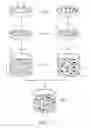 Fig. 02 - COMPOSITION DERIVED FROM STEM CELL RELEASED MOLECULES & METHODS FOR FORMULATION THEREOF