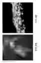 Fig. 05 - METHODS AND COMPOSITIONS FOR TREATMENT OF NEURODEGENERATIVE DISEASES