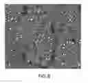 Fig. 09 - METHODS AND COMPOSITIONS FOR TREATMENT OF NEURODEGENERATIVE DISEASES