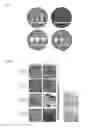 Fig. 05 - Implant device for drug delivery