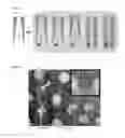 Fig. 11 - Implant device for drug delivery
