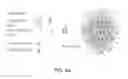 Fig. 08 - Compositions and methods for improved encapsulation of functional proteins in polymeric vesicles