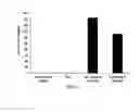 Fig. 04 - Encapsulated active ingredients for controlled enteric release