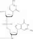 Fig. 04 - Lyophilized pharmaceutical compositions