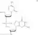 Fig. 06 - Lyophilized pharmaceutical compositions