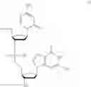 Fig. 10 - Lyophilized pharmaceutical compositions