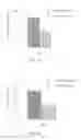 Fig. 05 - Compositions and Methods for Delivery of Gene Editing Tools Using Polymeric Vesicles
