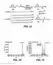 Fig. 02 - Method for enhancing amidohydrolase activity of fatty acid amide hydrolase