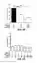 Fig. 11 - Method for enhancing amidohydrolase activity of fatty acid amide hydrolase
