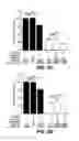 Fig. 12 - Method for enhancing amidohydrolase activity of fatty acid amide hydrolase