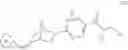 Fig. 1028 - Methods for Treating Cognitive Disorders Using Inhibitors of Histone Deacetylase