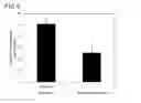 Fig. 04 - COMPOSITION FOR ACCELERATING PENETRATION THROUGH SKIN, PREPARATION FOR TRANSDERMAL ADMINISTRATION, AND SKIN PATCH PREPARATION