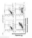 Fig. 09 - Methods for inhibiting cancer cells