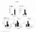 Fig. 02 - Thromboxane Receptor Antagonists in AERD/Asthma