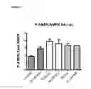 Fig. 04 - Compositions, methods and kits for reducing lipid levels