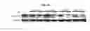 Fig. 17 - Autophagy Inhibitors