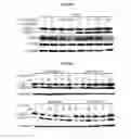 Fig. 23 - Autophagy Inhibitors