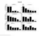 Fig. 24 - Autophagy Inhibitors
