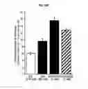 Fig. 28 - Autophagy Inhibitors