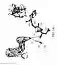 Fig. 32 - Aurora kinase inhibitors and methods of making and using thereof