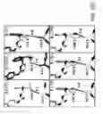 Fig. 40 - Aurora kinase inhibitors and methods of making and using thereof